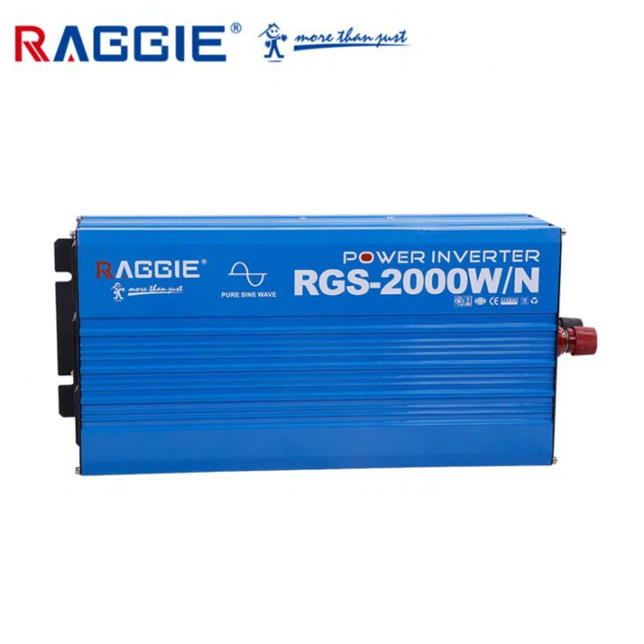 Инвертор пълна синусуида Reggie 12V 2000W, Лед дисплей, USB