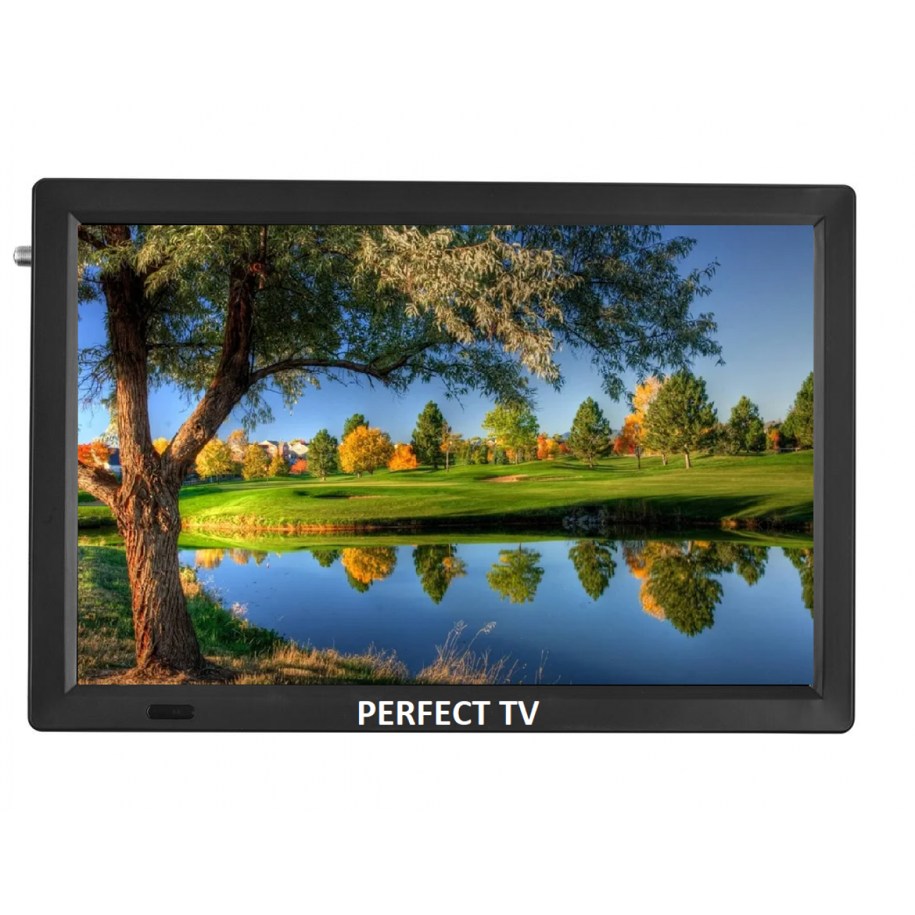 16" портативен телевизор Perfect TV16, 16 инча, 12/220V, Цифров тунер DVB-T2, Мултимедия, Акумулаторна батерия