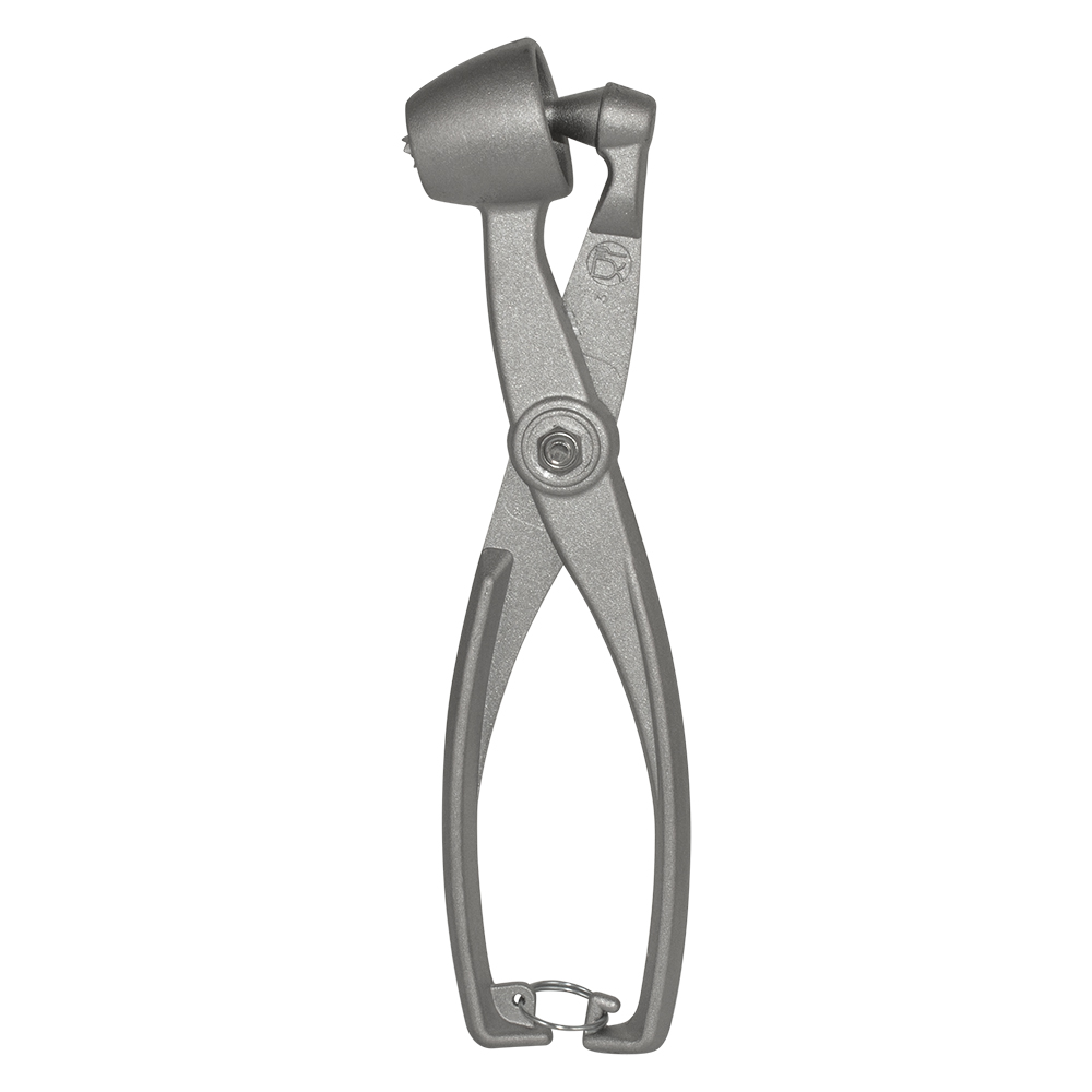 Уред за премахване на костилки Eppicotispai, маслини